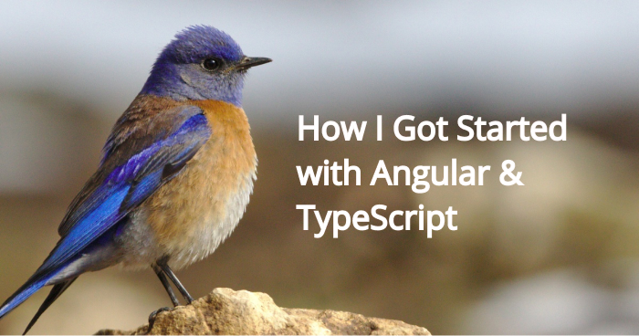 How I Got Started with Angular & TypeScript