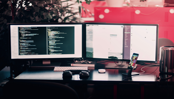 Developer Guide to the CCPA.
