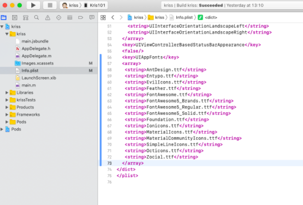 Setup vector icon in Xcode