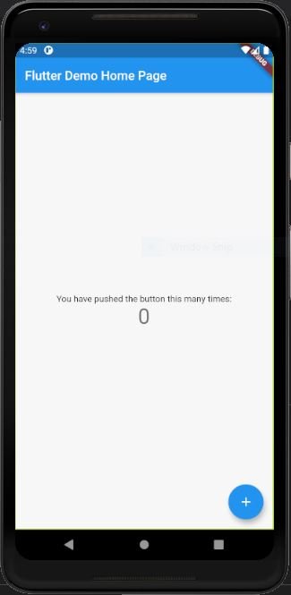 New flutter application