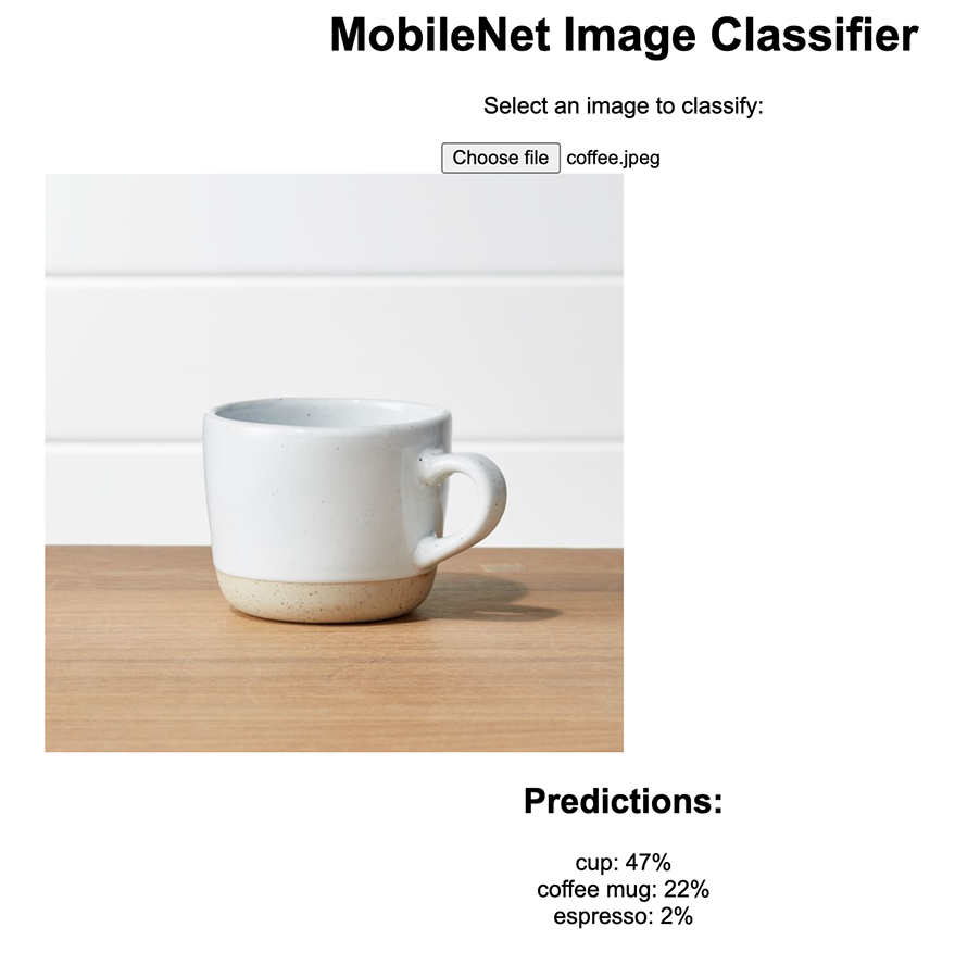 Output from image classifier