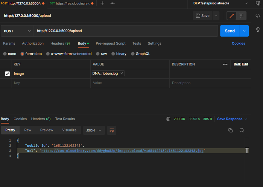 url` and `public_id`