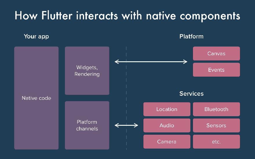 How Flutter interacts with native components How Flutter interacts with native components