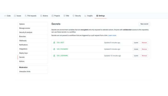 SSH Secrets Set up in Our Dummy Repository SSH Secrets Set up in Our Dummy Repository