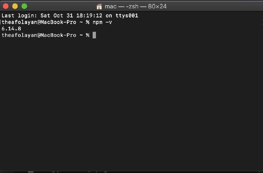 The output of running npm -v 