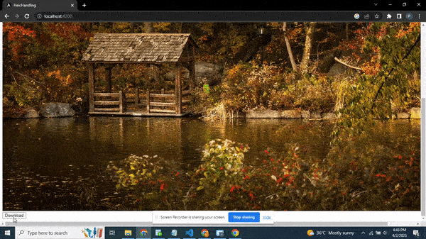 Downloading the converted HEIC image